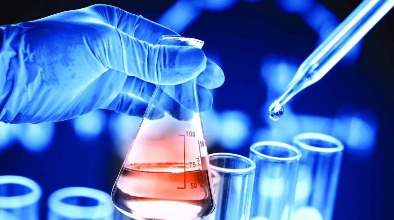 Chemicals maker Clean Science’s IPO is open till July 9; should you go for it?