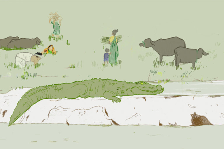 WATCH: Humans and crocodiles share space in this Gujarat village