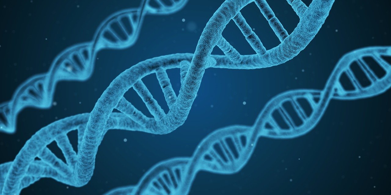 Humans are 100% genome-sequenced; know what it means for health
