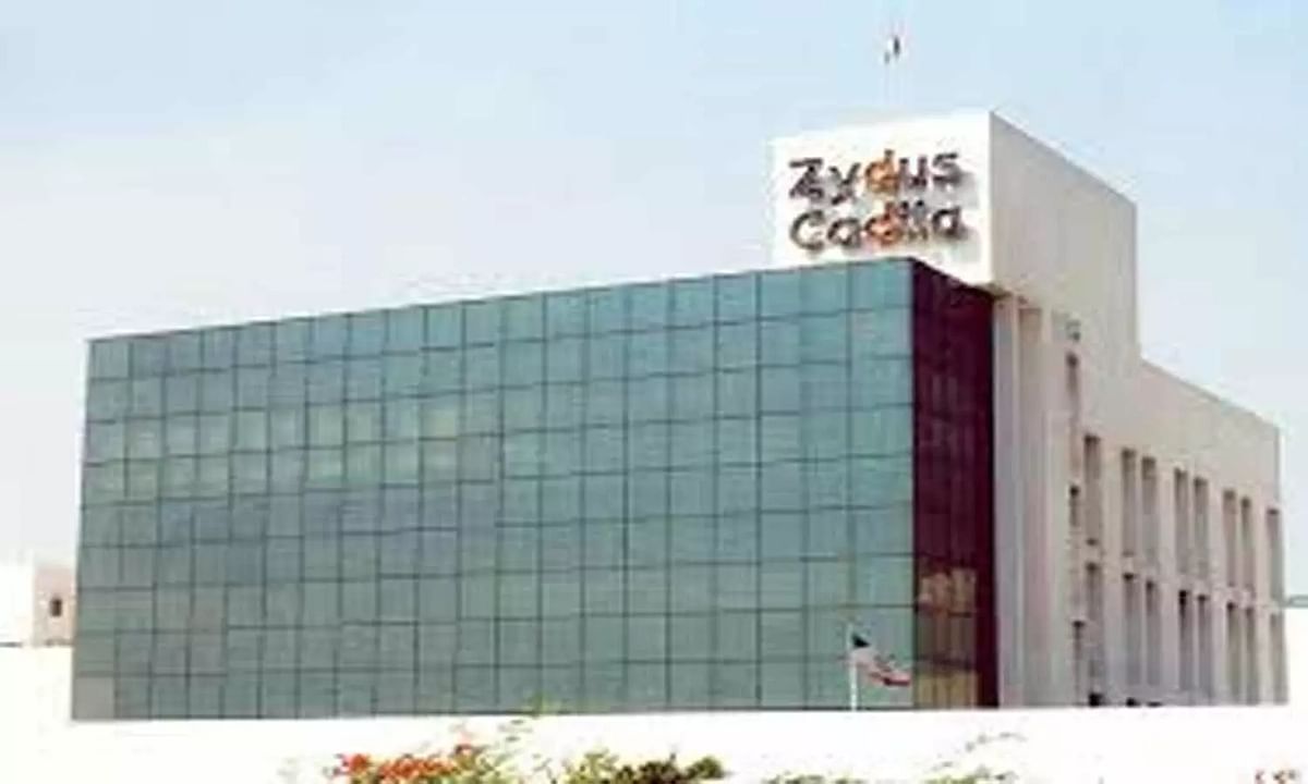 Zydus Cadila to soon begin vaccine trials for children above 5 years