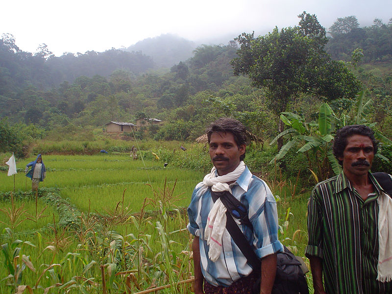 Edamalakkudy: The only COVID-free haven in Kerala