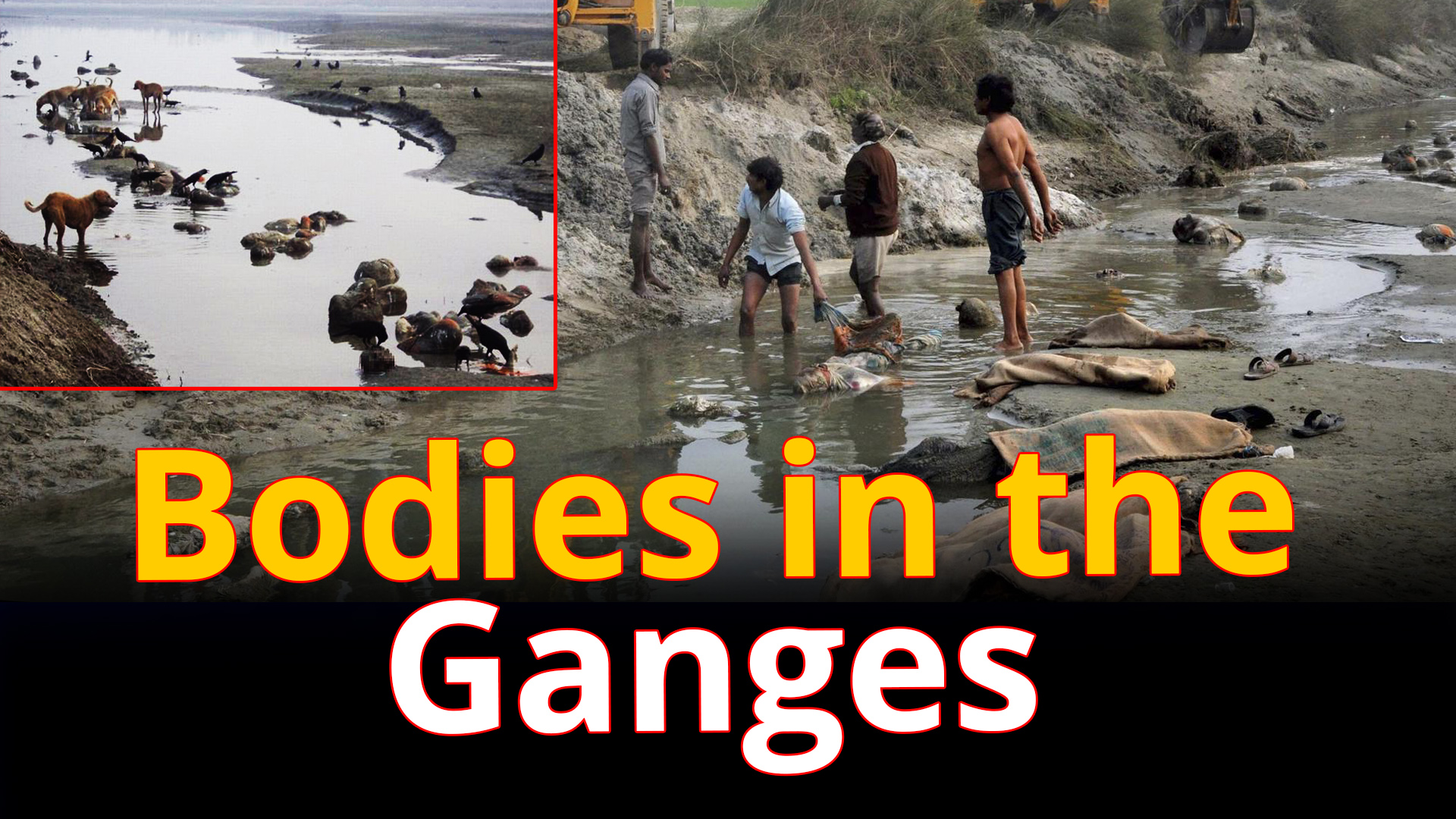 Decomposing bodies float in Ganga, spread panic about infection