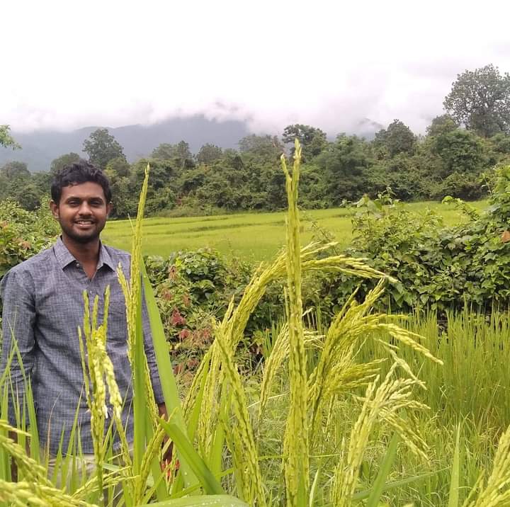 Youth promotes native paddy varieties, builds eco houses