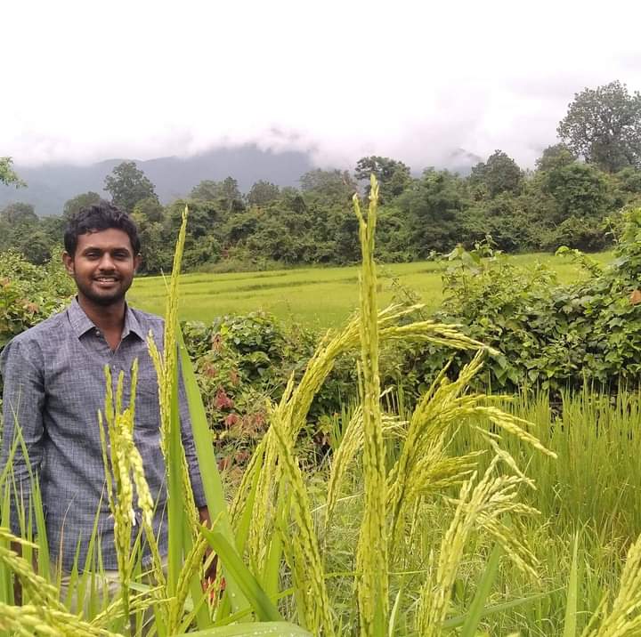 Youth experiments on paddy landraces, distributes them to poor farmers in his village