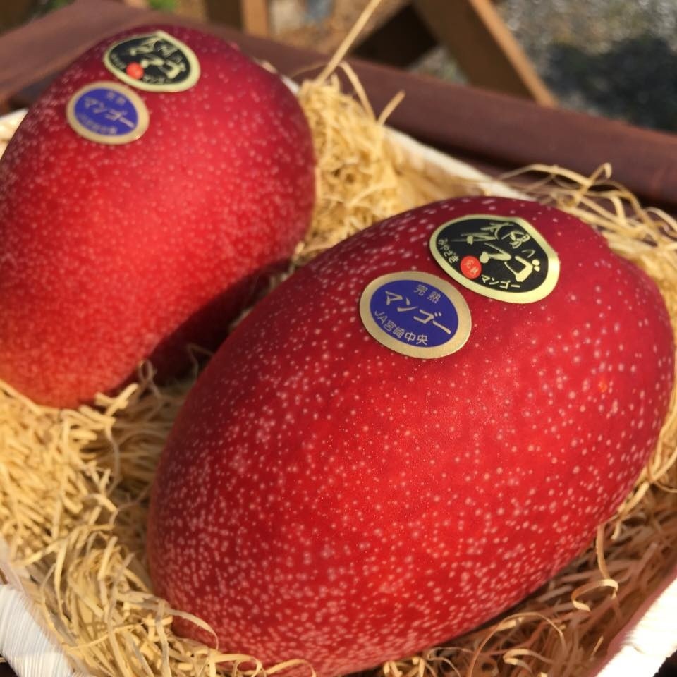 MP farmer grows Japanese mango, can sell it for ₹21,000 apiece