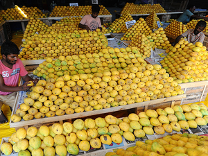 COVIDs crippling blow: Sweet mangoes, bitter tales