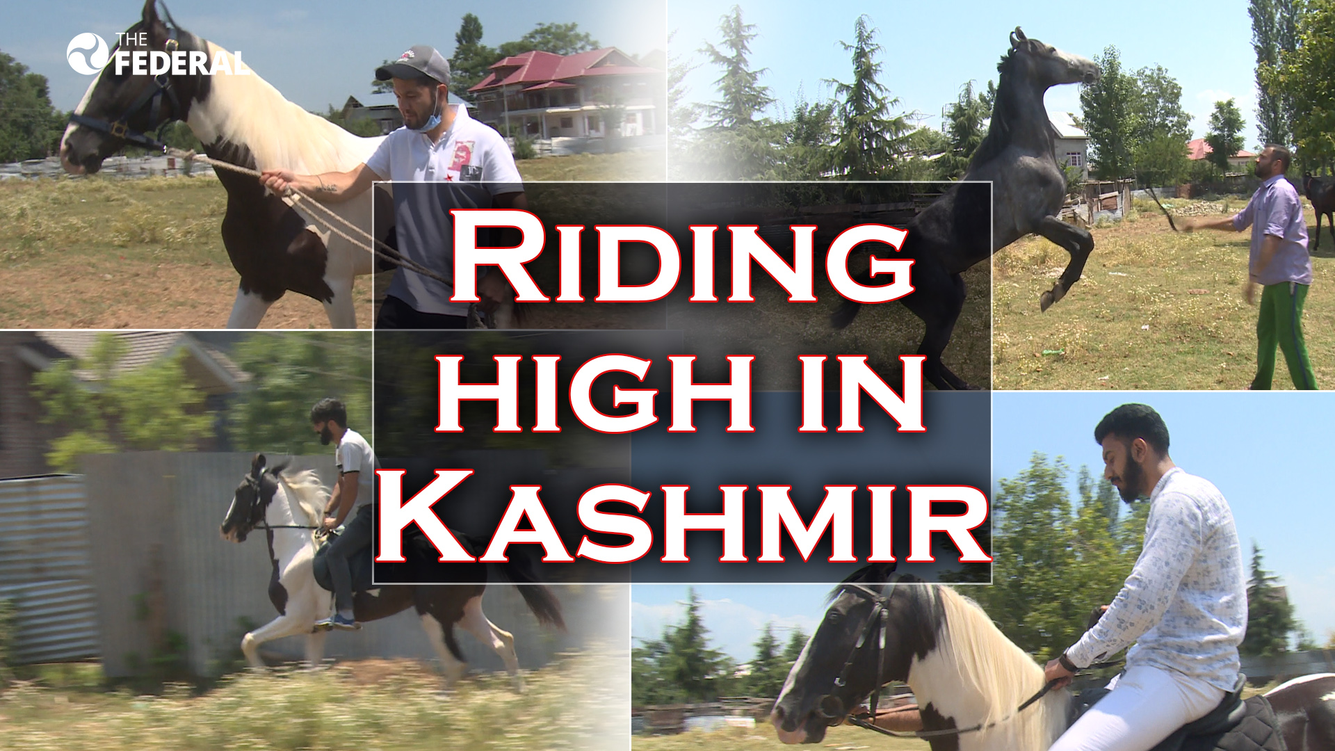 Kashmirs horse farm: A novel attraction for riders