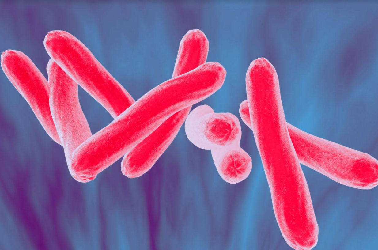 Scientists get new insights into molecular mechanism of TB bacterium