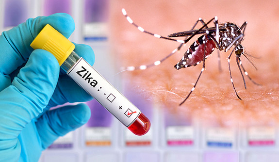 Centre sends 6-member team to Kerala to monitor Zika situation