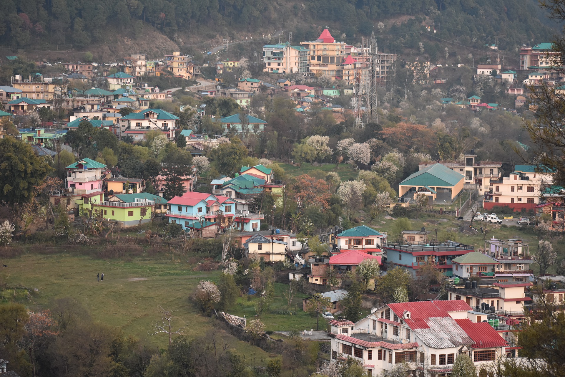 Dharamshala developing at the cost of dense forests