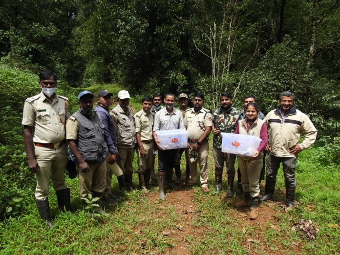 Karnatka Forest Department_WildCAT_C_Kalinga Foundation team with the hatchlings before release