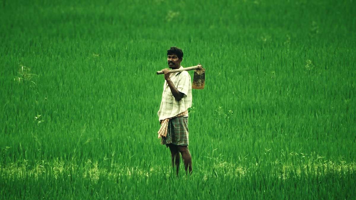 Karnataka farmer suicide