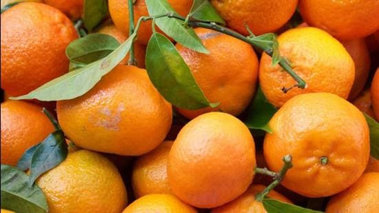 Manipuri oranges and chillis get coveted Geographical Indication tag