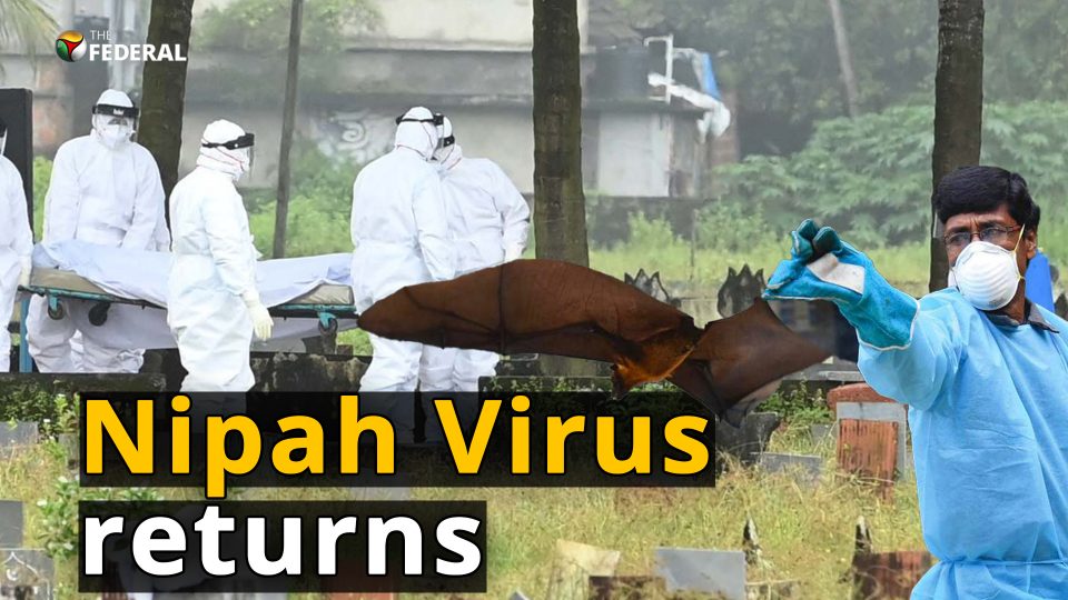 12-year-old boy dies of Nipah virus in Kerala