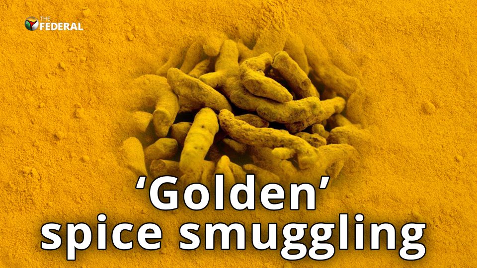 Turmeric is the new gold for smugglers in India, Lanka