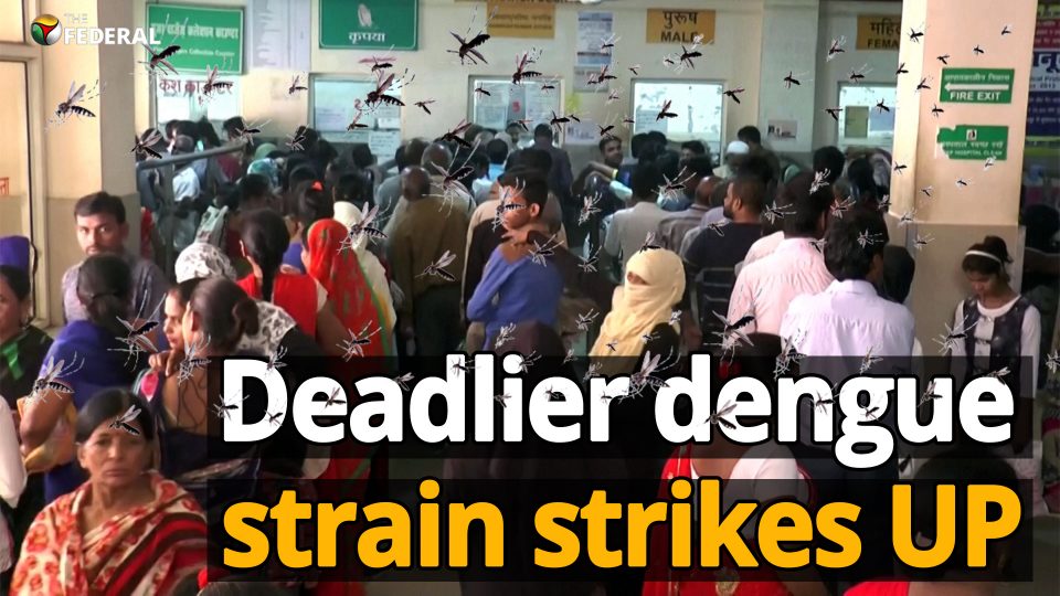 Dengue and viral outbreak overwhelms UP health infra