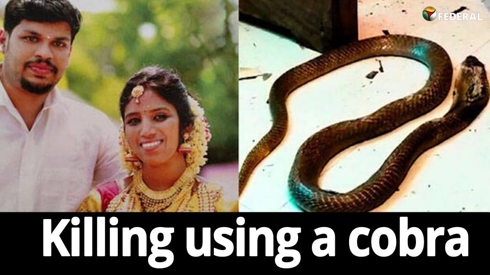 How did this Kerala man murder his wife using a cobra?