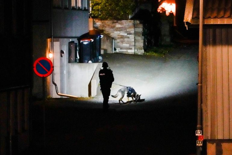 Norway calls bow-and-arrow attack an act of terror, suspect arrested