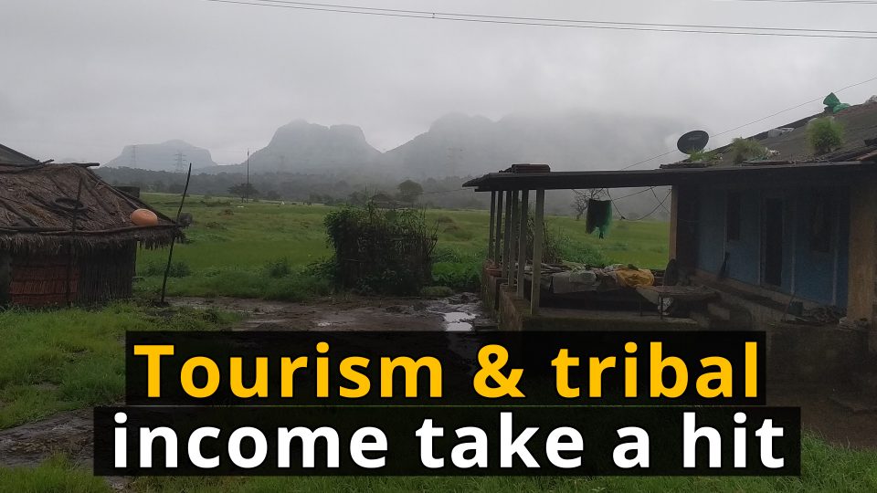 How COVID-19 took away incomes of tribals from Malshej Ghat region