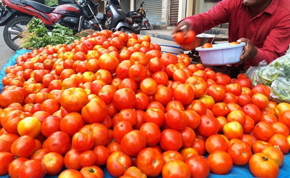 Tomato, onion prices rise after crop damages in Karnataka, Maharashtra