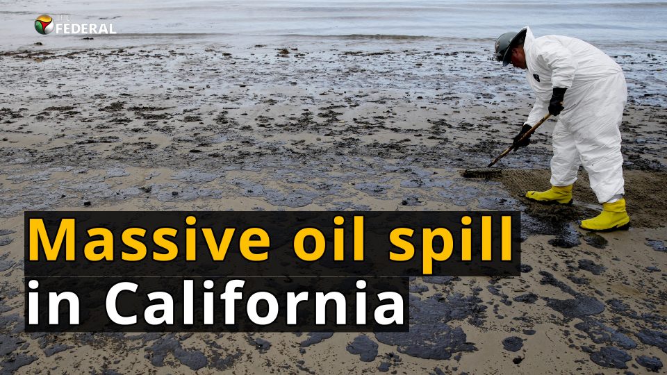 California oil spill threatens wildlife
