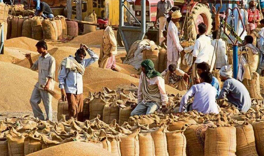 Govt mulls import duty cut, other options as wheat prices firm up