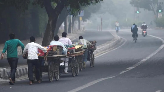 Non-vegetarian food stalls banned on streets of Ahmedabad