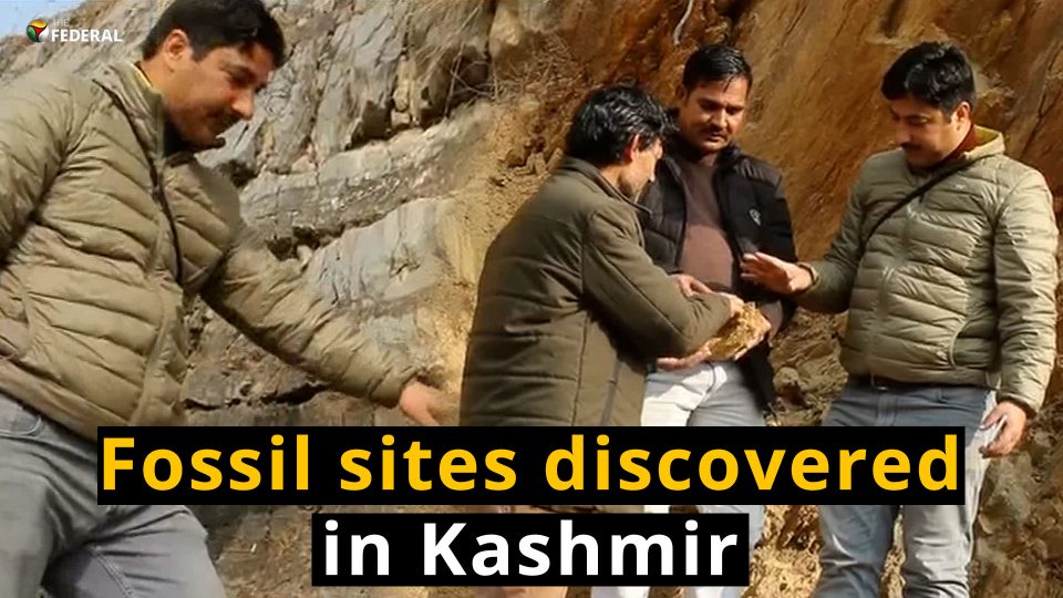 Millions of years old fossil sites discovered in South Kashmir