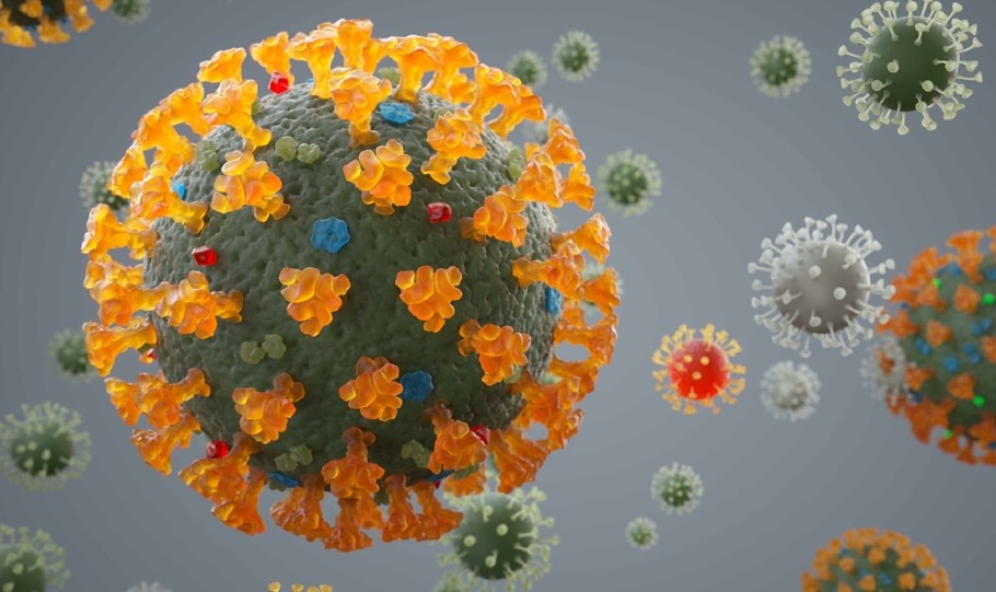 NeoCov, new type of coronavirus, causes more deaths, says study