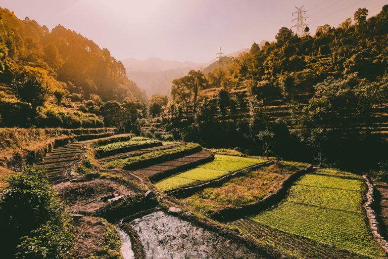 Local Hindu outfit asks Muslims to immediately leave Purola in Uttarakhand