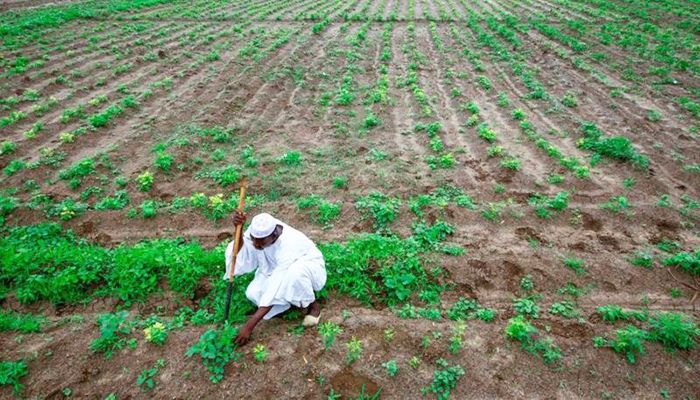 Bangladesh considers contract farming in Africa, opens new chapter in labour migration
