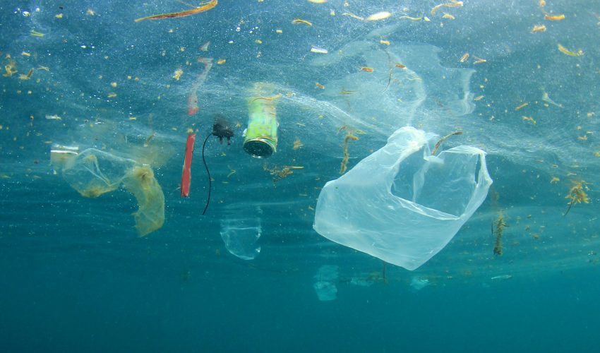 Ministry of Earth Sciences initiates steps to monitor marine litter