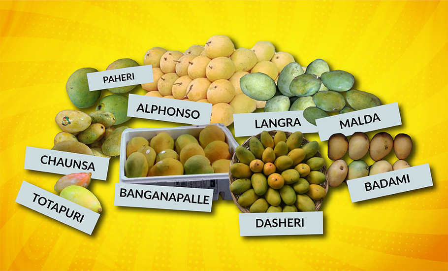 Season begins: Here are the top 10 mango varieties in India