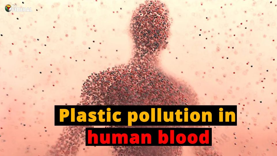 Scientists discover microplastics in human blood