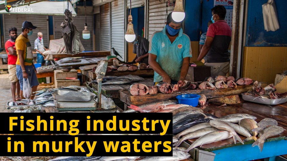 Sri Lankan fishermen in dire straits, as economic crisis deepens