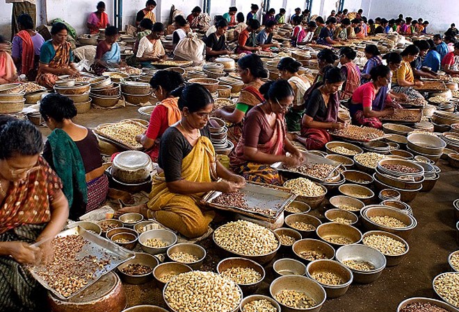 Tirupati laddu may have famed cashew from Kerala again