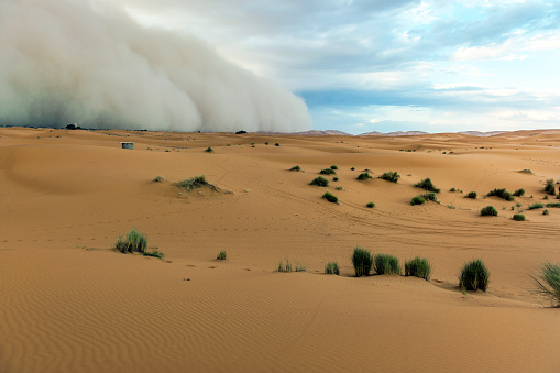 Middle East dust storms can increase monsoon rainfall in India: Study