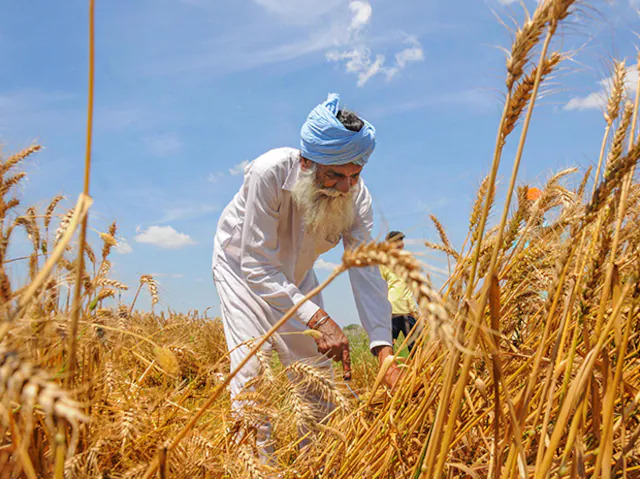 Farmer leaders citing old study to block  reforms: NITI-Aayog’s Ramesh Chand