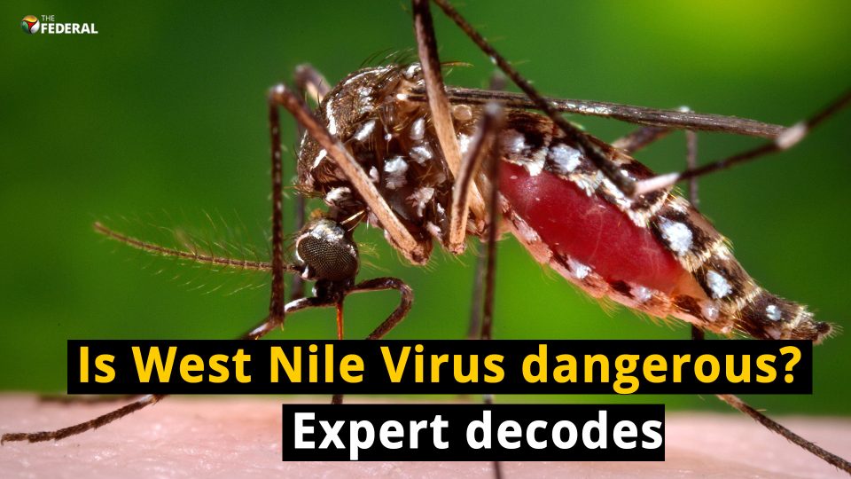 Kerala man dies of West Nile Virus