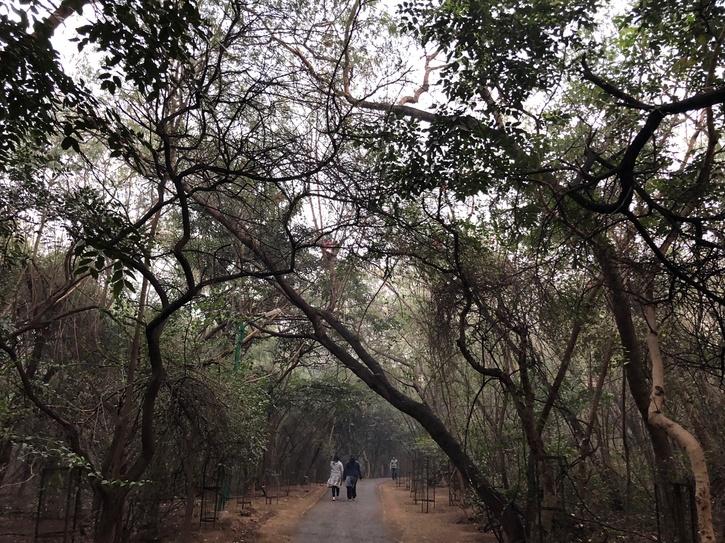 Delhi to redevelop four city forests. Know what the plan entails