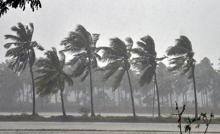 Monsoon hits Andaman and Nicobar; parts of Kerala, TN, Karnataka to get rains