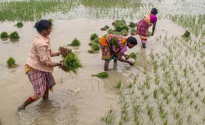 Kharif acreage down with dual wrath of nature — droughts and floods