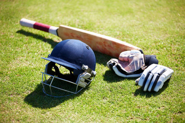 Fake IPL-like cricket league busted in Gujarat; 4 arrested
