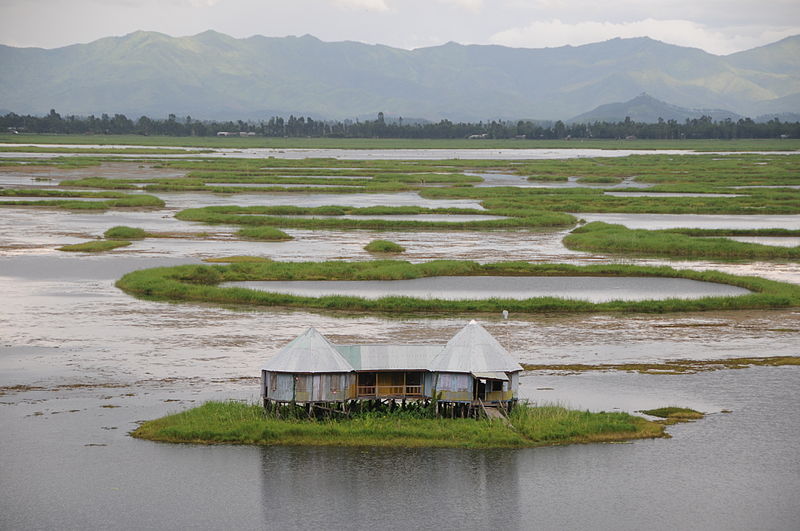 Ecologically fragile Manipur lake struggles to stay afloat