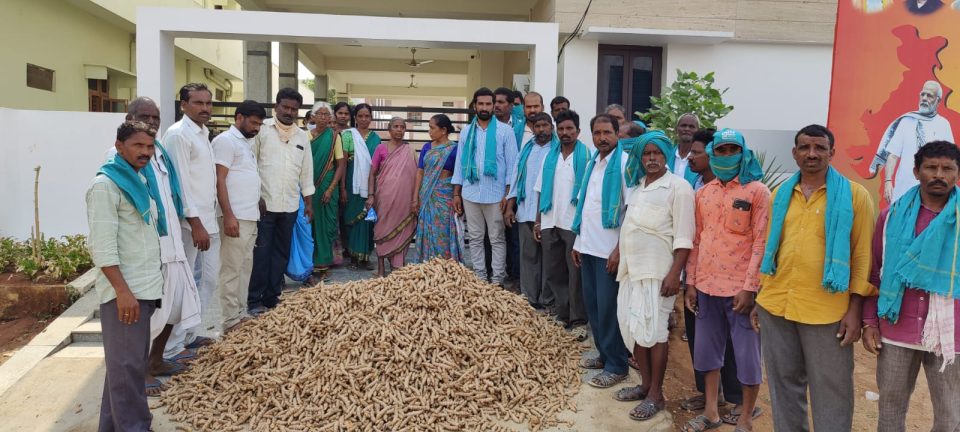 Theres no end to Telangana turmeric farmers misery