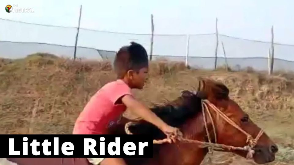 Four-year-old boy impresses with horse riding skills