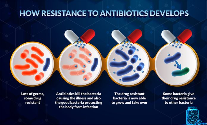 How scientists propose to fight drug-resistant bacteria, give ...