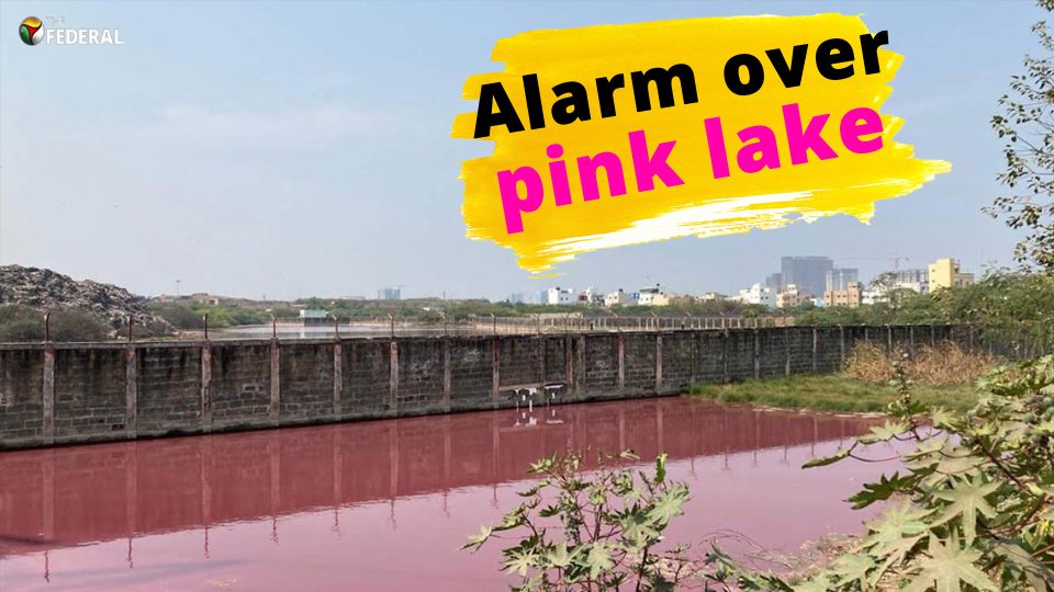 Researchers raise red flag over pink lake