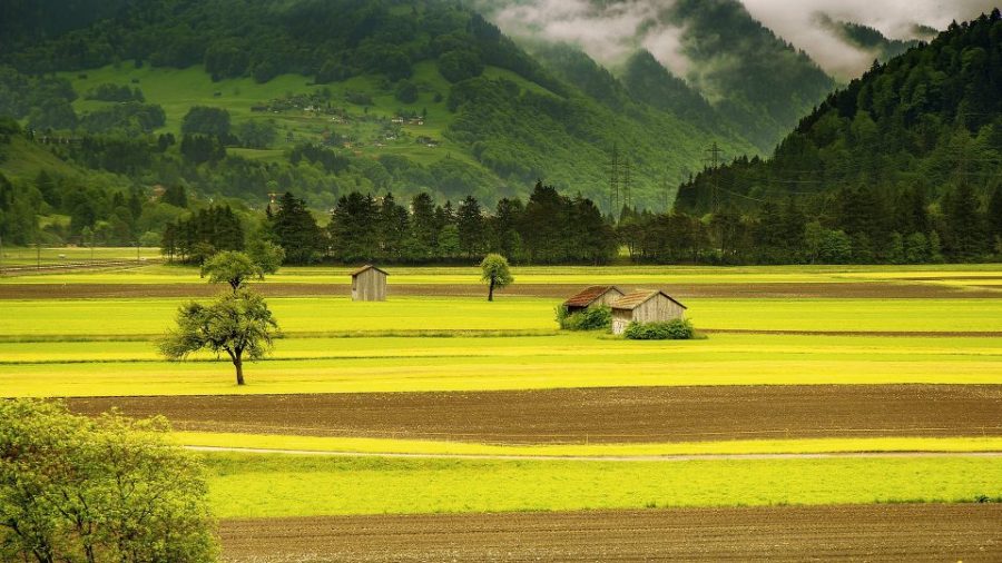 Sri Lankan army battles food shortage with farming drive