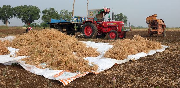 As yields drop, study predicts worse to come for Rayalaseema farmers